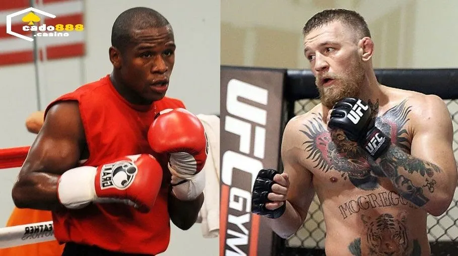 Cách Cược Quyền Anh Cado888 luôn thắng không phải ai cũng biết